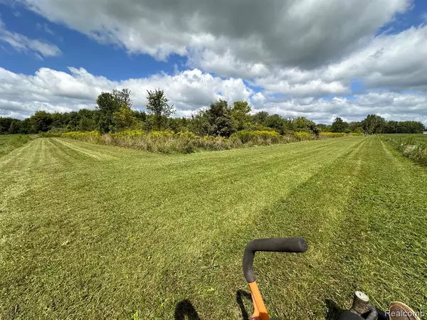Arbela Twp, MI 48746,8833 BREWER Road