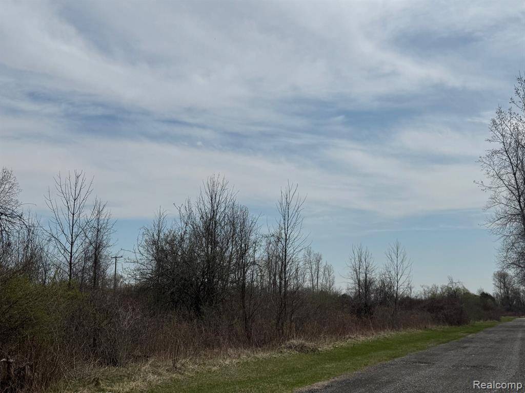 00 Metcalf Road, Clyde Twp, MI 48049
