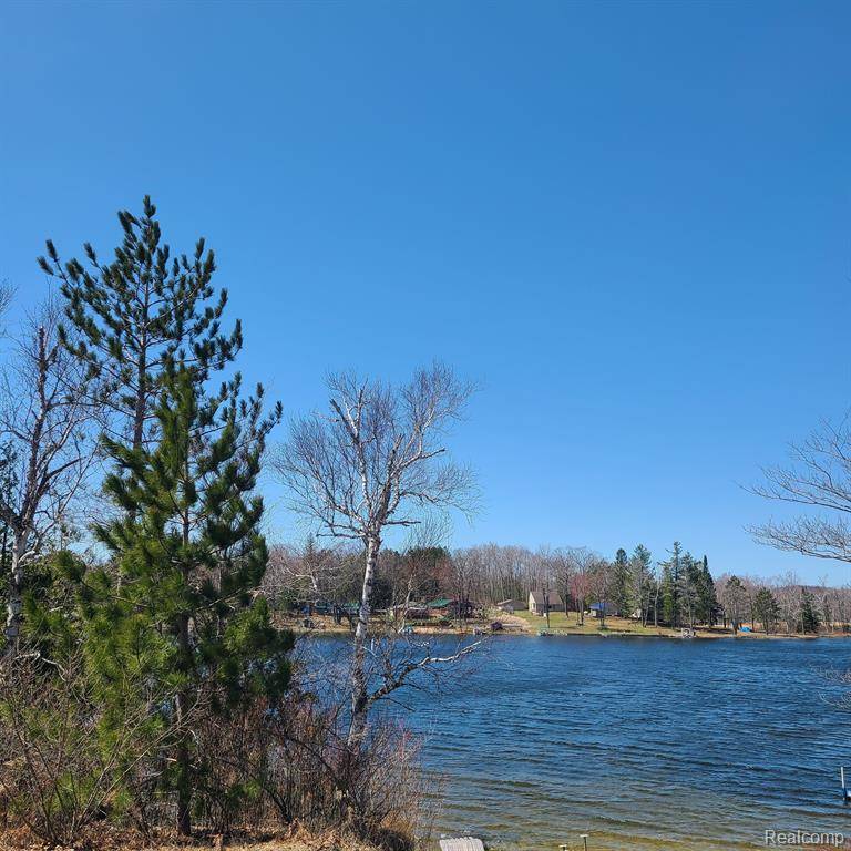 2808 N LAKE Road, Curtis Twp, MI 48737