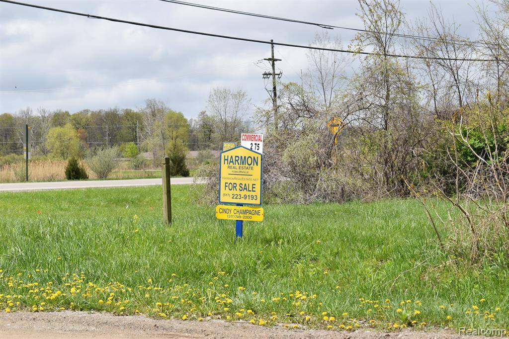 VL Grand River Avenue, Handy Twp, MI 48836