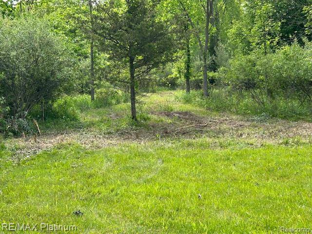 VL Faussett, Tyrone Twp, MI 48430