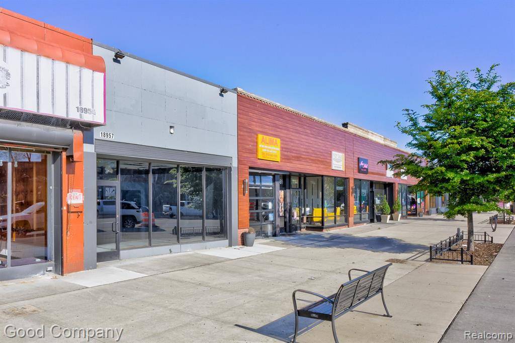 18957 LIVERNOIS Avenue, Detroit, MI 48221