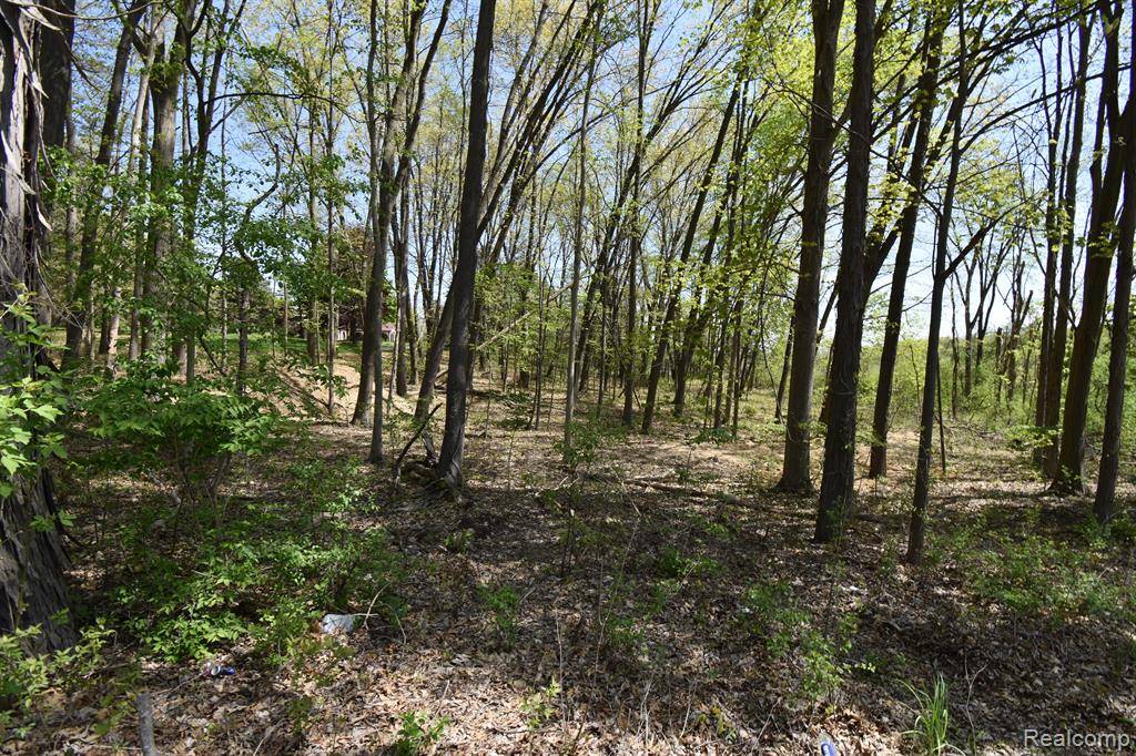 Dexter Twp, MI 48130,10146 ISLAND LAKE Road