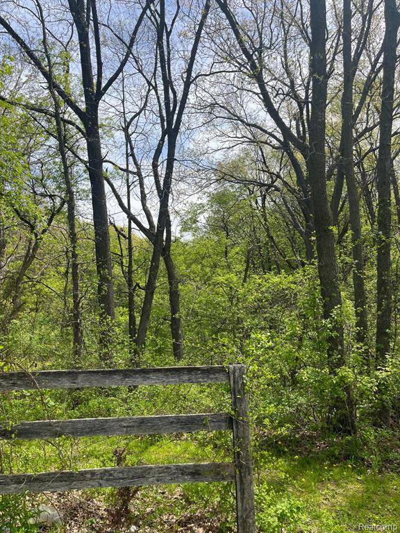 Springfield Twp, MI 48346,00 RIDGEWOODE Road