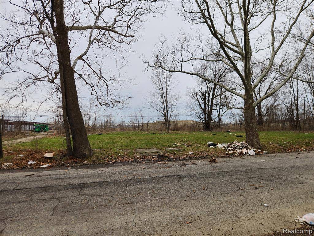 12905 BROOKS Street, Detroit, MI 48215