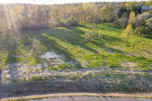 Metamora Vlg, MI 48455,4030 Metamora Ridge