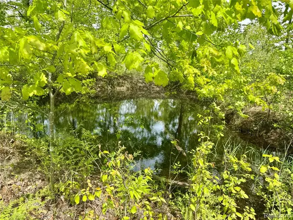 Gladwin, MI 48624,499 E Winegars Road