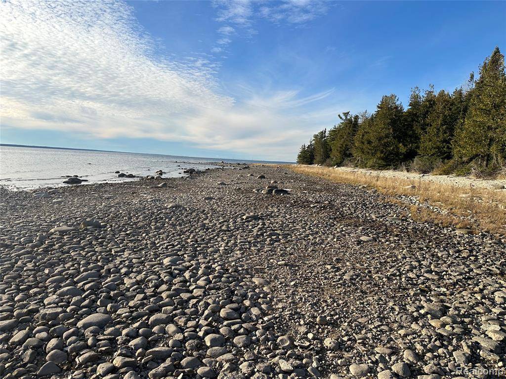 Bois Blanc Twp, MI 49775,Parcel D Gobles Drive