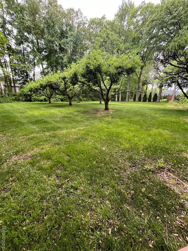Clinton Twp, MI 48036,0 Camellia Lane