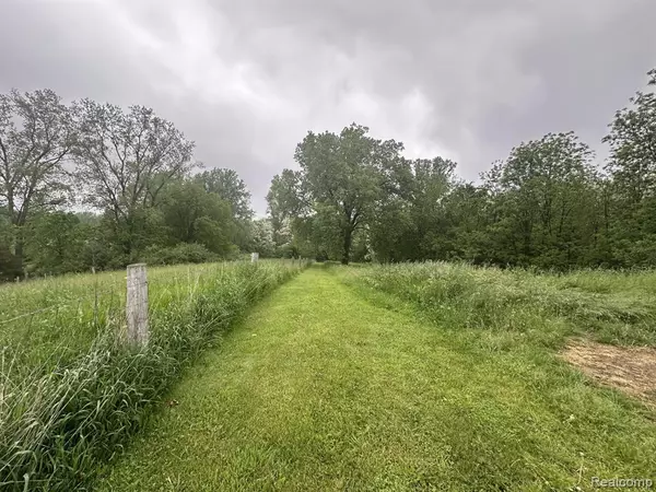 Fremont Twp, MI 48744,VL Mertz Road