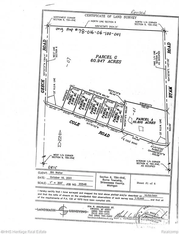 Burns Twp, MI 48414,Lot F Cole Rd E Cole Road