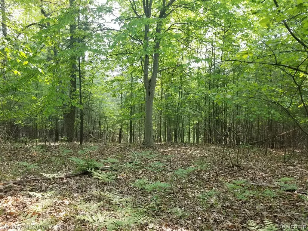 Yates Twp, MI 49642,0000 Franklin