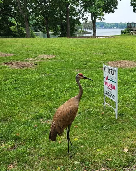 00 Blain Island, Waterford Twp, MI 48329