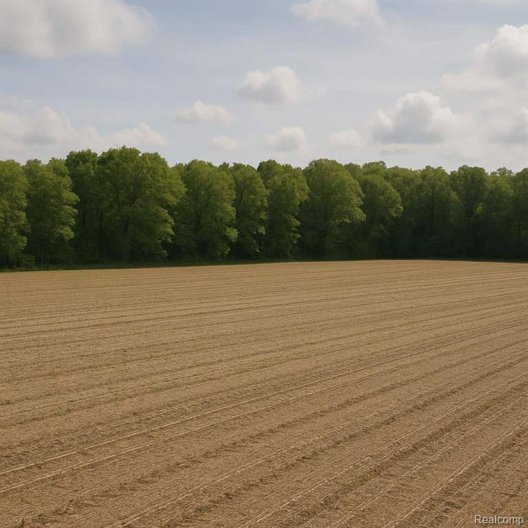 0000 Long Lake Road, Camden Twp, MI 49274