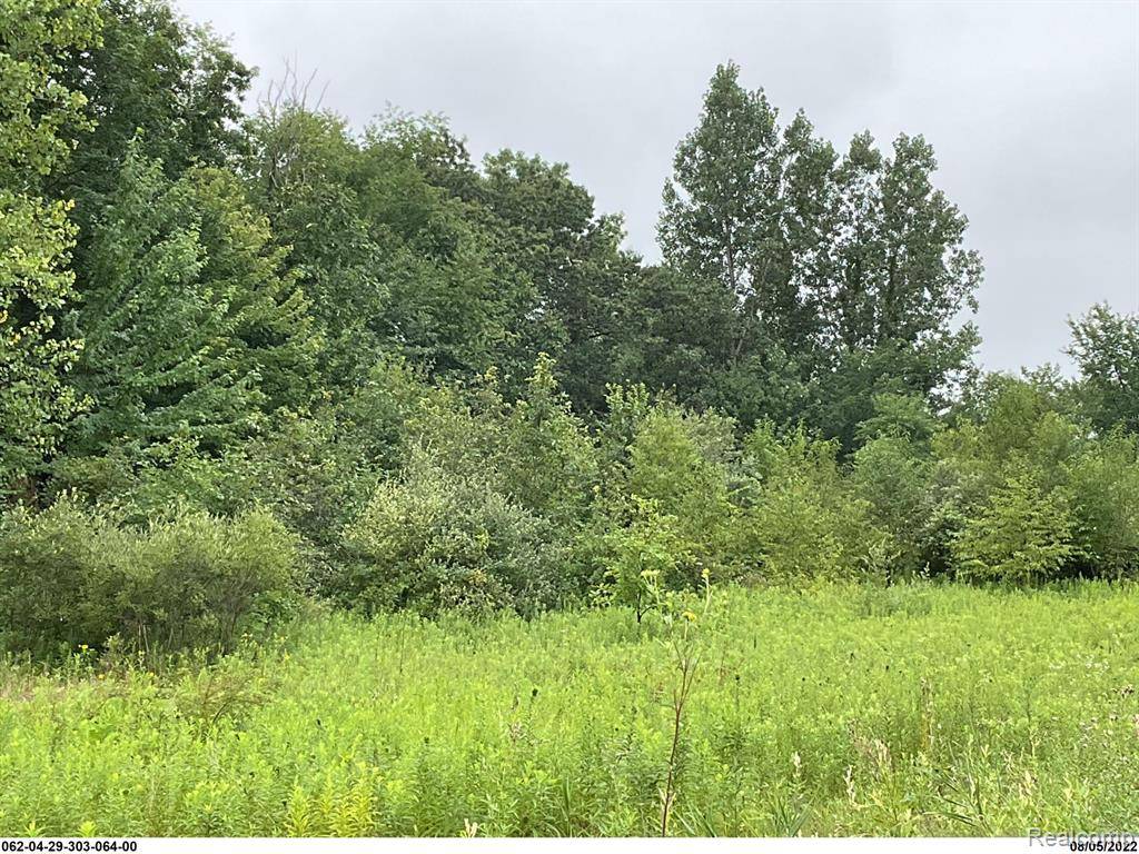 Henrietta Twp, MI 49272,0 ERIKA Drive