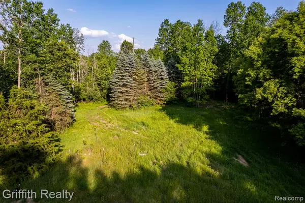 4433 Brighton Parcel B Road, Genoa Twp, MI 48843