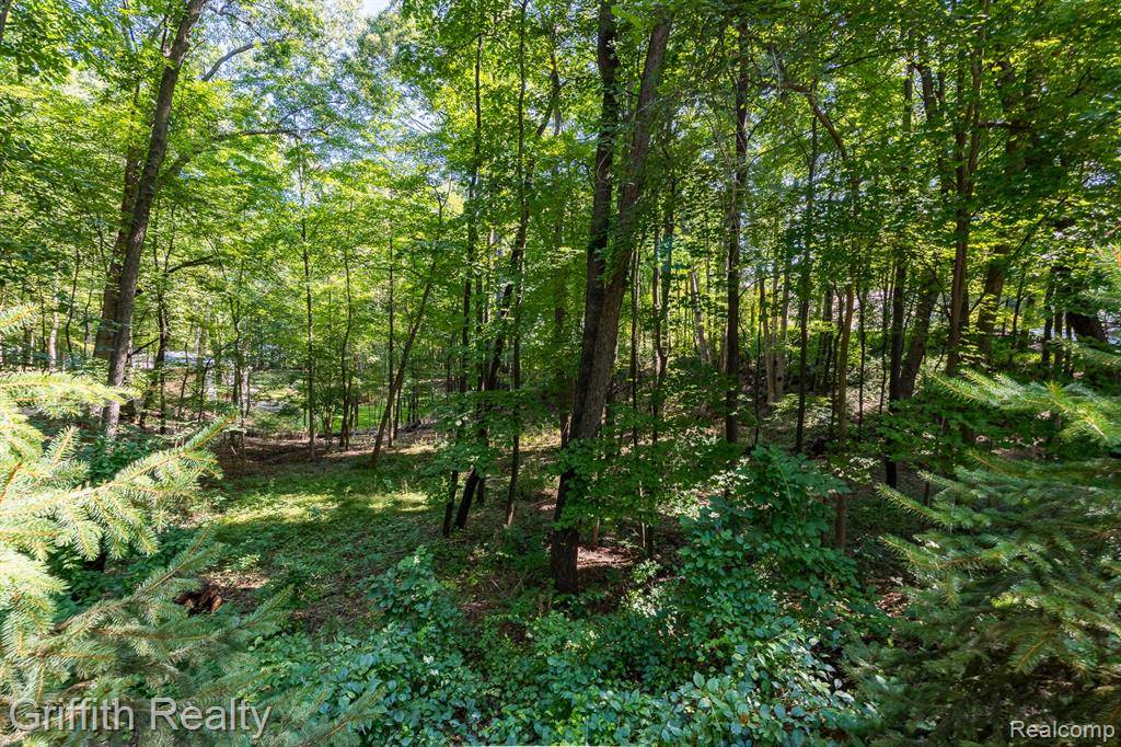 Brighton, MI 48114,2385 Corlett Road