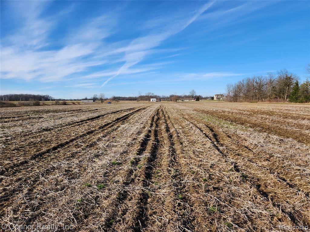 Armada Twp, MI 48005,22738 BORDMAN
