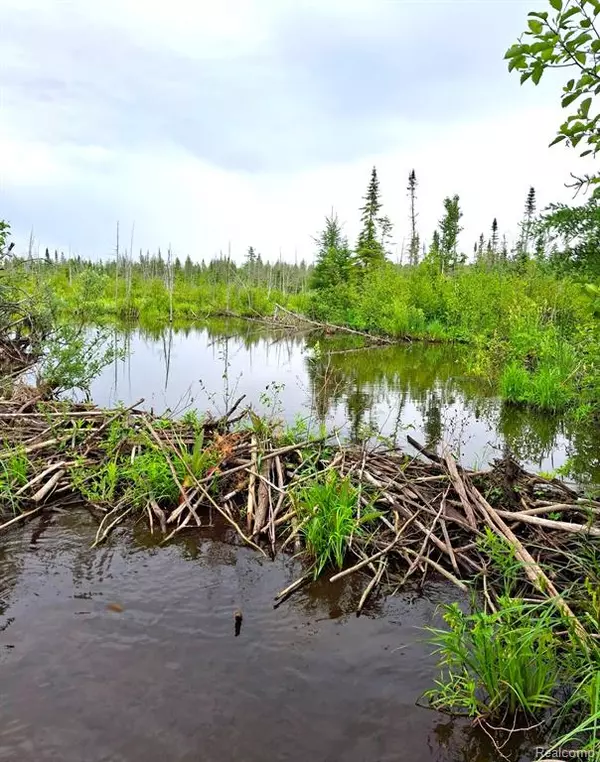 Hulbert Twp, MI 49748,37252 W 2nd Street