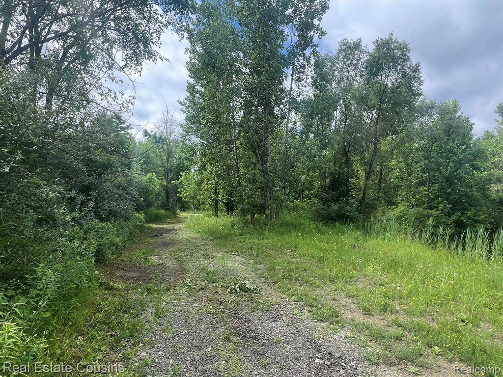 5440 Lobdell Road, Fenton, MI 48430