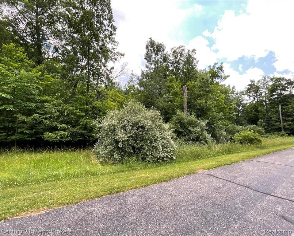 0 Jordyn Drive, Lapeer, MI 48446