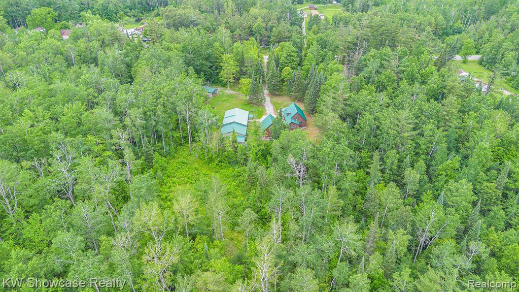 Big Creek Twp, MI 48647,699 W Cherry Creek Road