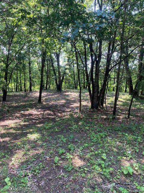 3 Sleaford-Parcel 3-3.17 Acres Road, Howell Twp, MI 48843