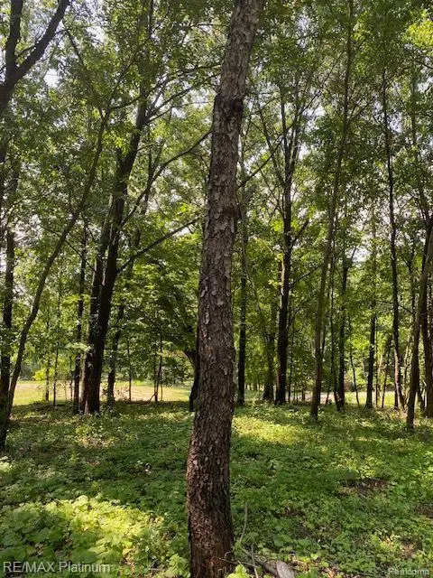 Howell Twp, MI 48843,5 Sleaford-Parcel 5 - 2.5 Acres Road