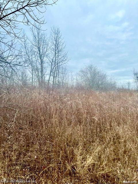 Salem Twp, MI 48168,7152 5 mile rd