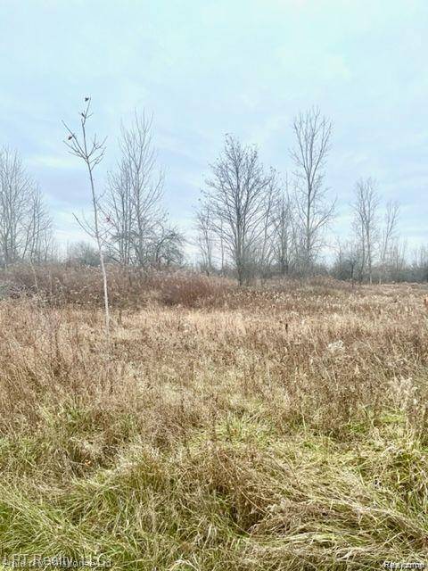 7152 5 mile rd, Salem Twp, MI 48168