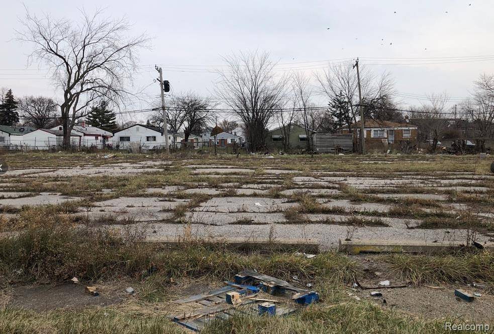 Detroit, MI 48215,4230 Anderdon Street
