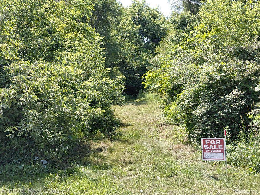 000 Allison Road, London Twp, MI 48160