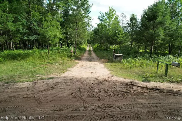 Sauble Twp, MI 49644,6651 W 6 Mile Road