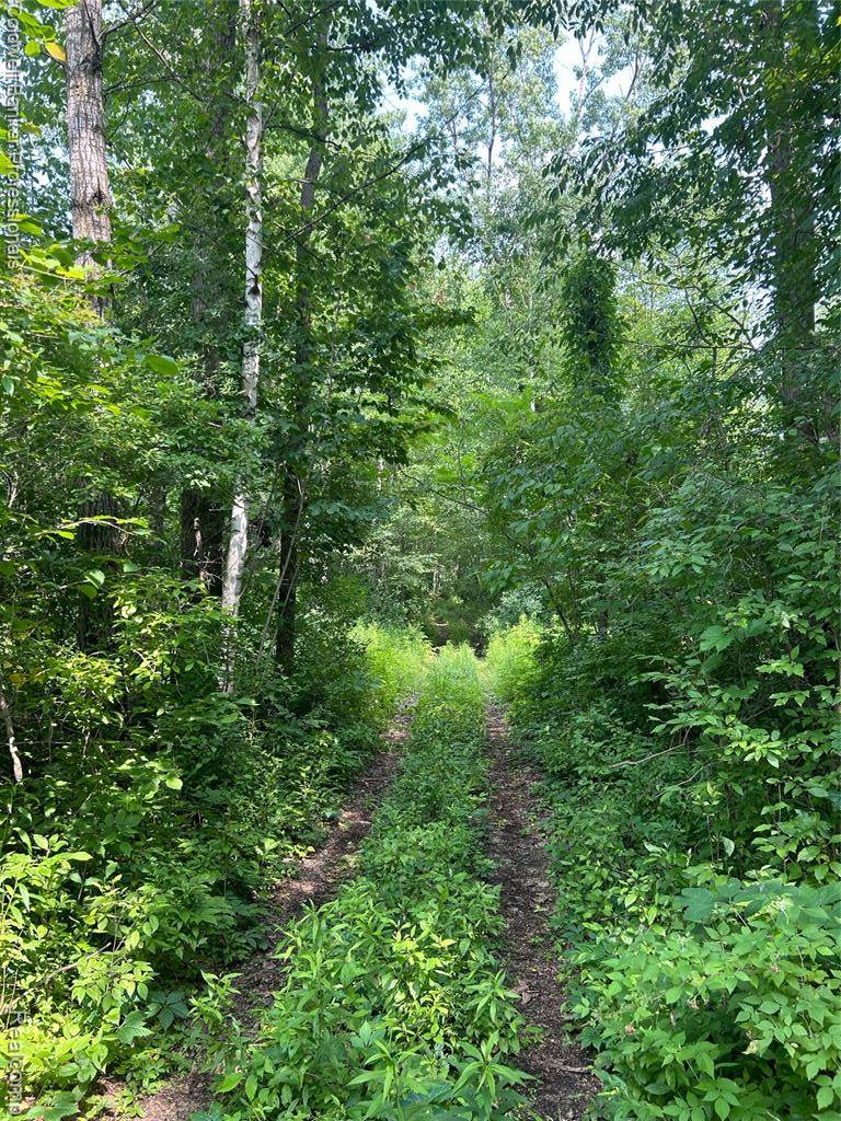 0 Chambers Road, Mayville Vlg, MI 48744