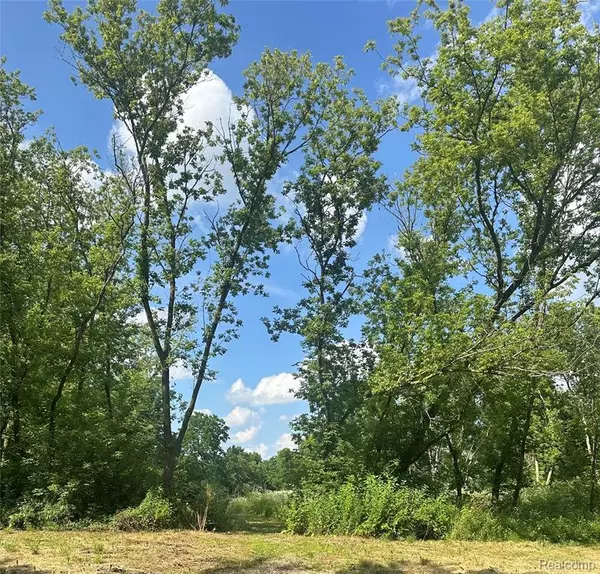 Fenton Twp, MI 48430,VL Lakeview Park Drive