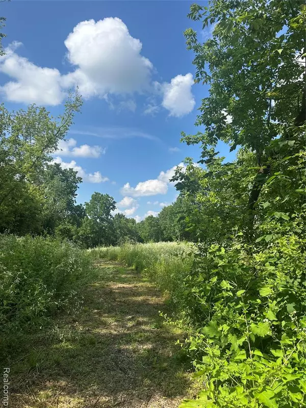 Fenton Twp, MI 48430,VL Lakeview Park Drive