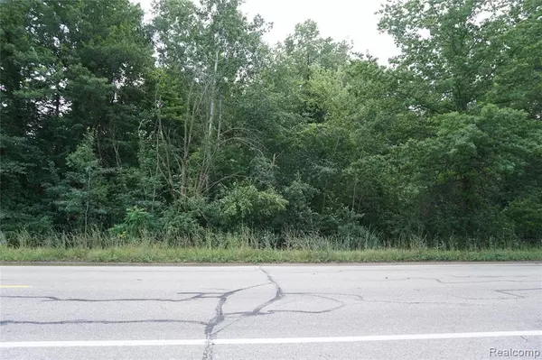 Vacant Willow Road, Sumpter Twp, MI 48164