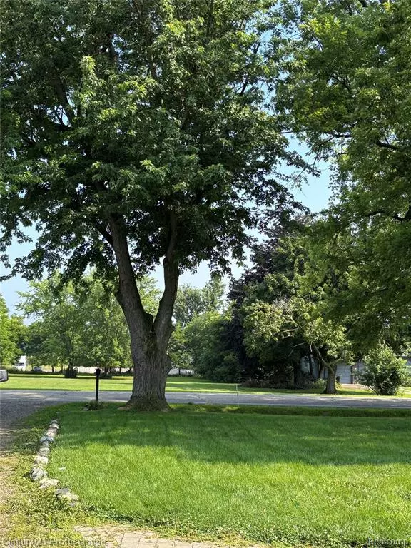 Mayfield Twp, MI 48446,43 Davis Lake Rd Davis Lake Road