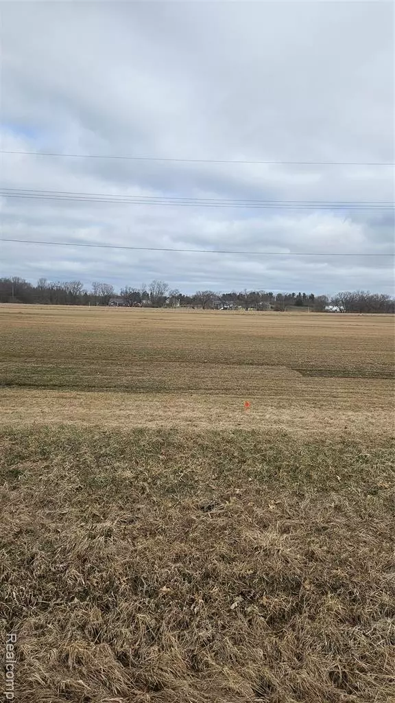 tbd clyde clyde, Hartland Twp, MI 48430