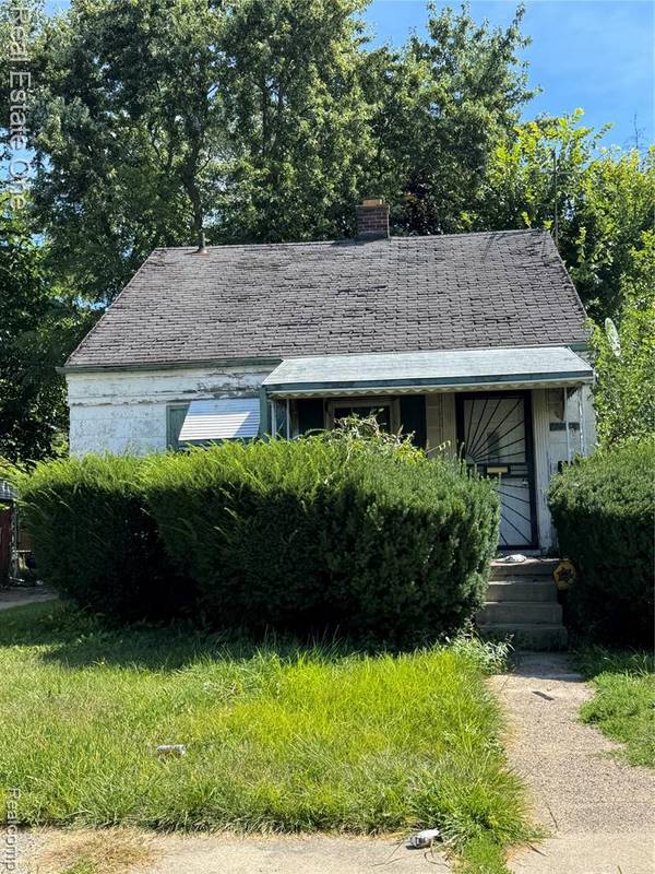 11718 Plainview Avenue, Detroit, MI 48228