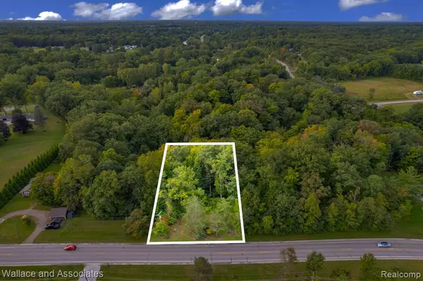 3559 Lightle Road, Clyde Twp, MI 48049