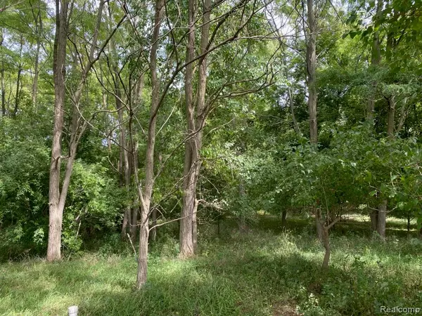 9403 Vassar Road, Atlas Twp, MI 48439