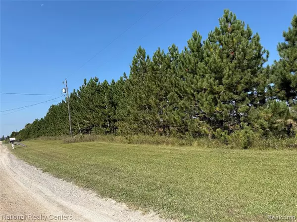 Ossineke Twp, MI 49766,12790 Behning Road