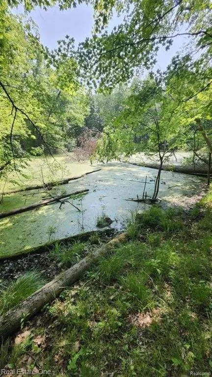 Oxford Twp, MI 48367,0000 Curtis Rd Curtis Rd