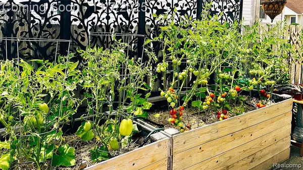 Wyandotte, MI 48192,3905 15th Street