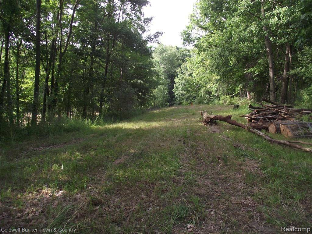19004 WELLER RD, Unadilla Twp, MI 48137