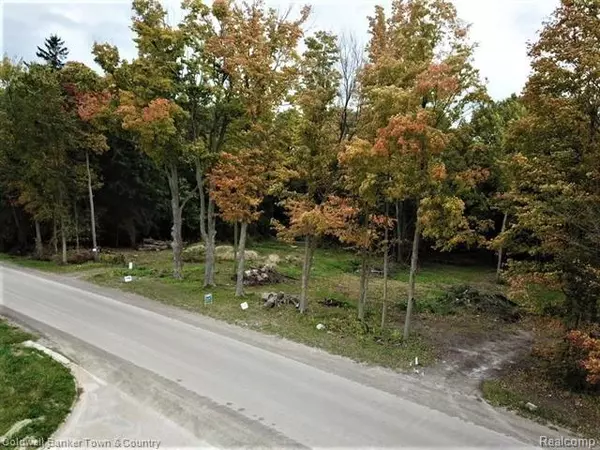 000 McClements Rd. Parcel D, Brighton Twp, MI 48114