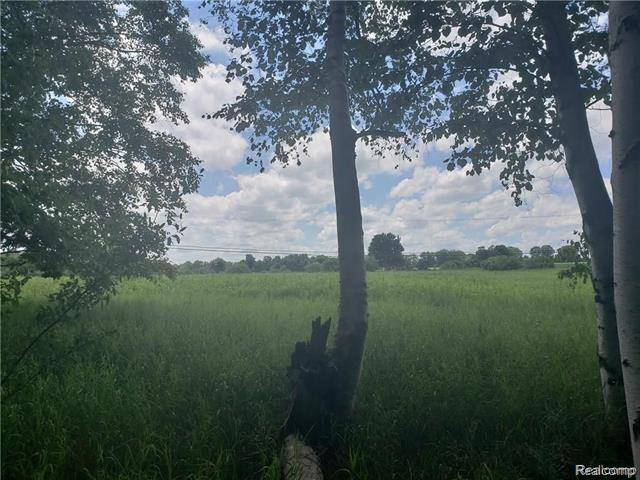 0 LEONARD RD, Addison Twp, MI 48367