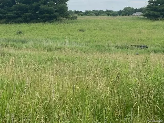 Hadley Twp, MI 48455,3881 GREEN CORNERS Road
