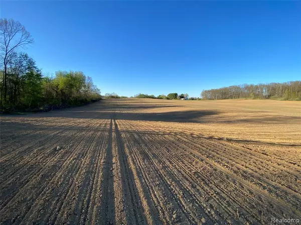 Tompkins Twp, MI 49201,vl Blackman Road